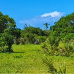 Nyota Njema Diani plots