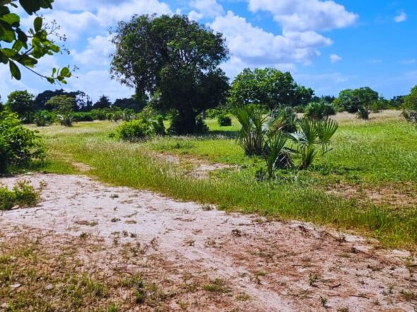 Diani Tiwi phase 3 Land for sale