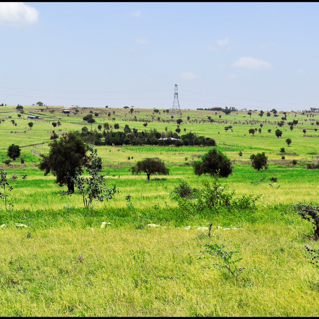 Nyota Njema Kitengela Land