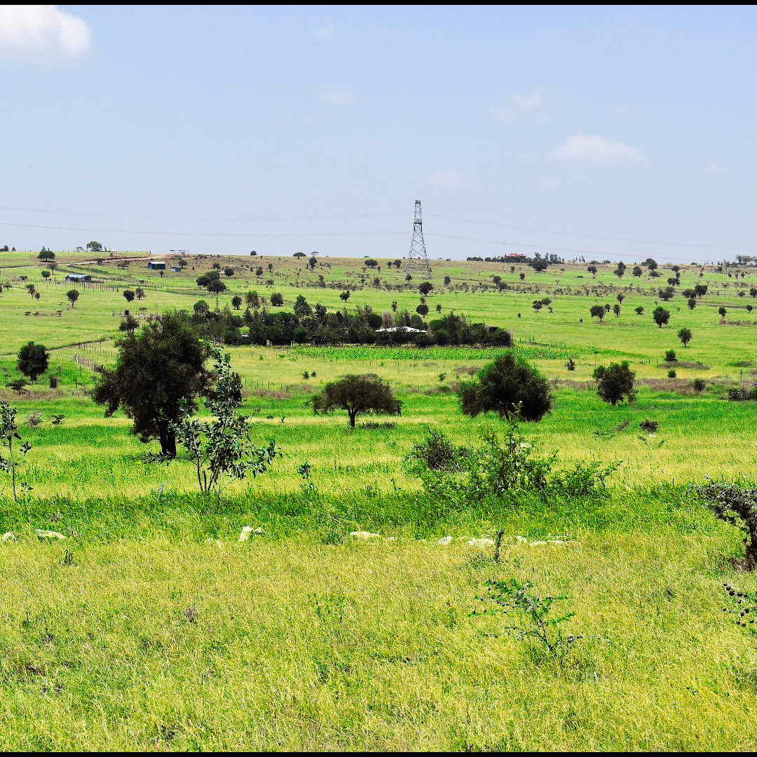 Nyota Njema Kitengela Land