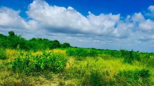 Nyota Njema Malindi Plots