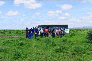 How to Choose the Right Real Estate Agent in Kenya