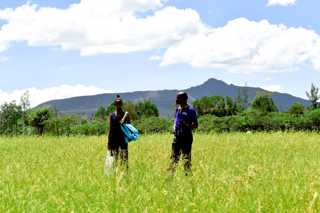 Nyota Njema Naivasha plots