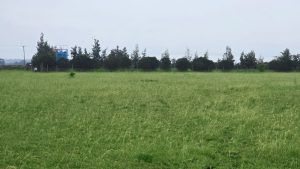 Nyota Njema Naivasha Plots for sale