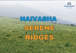 Buying Property in Kenya as a Foreigner