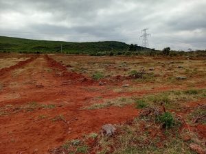 A 2026 Guide to Gated Community Plots for Sale in Kikuyu Kamangu