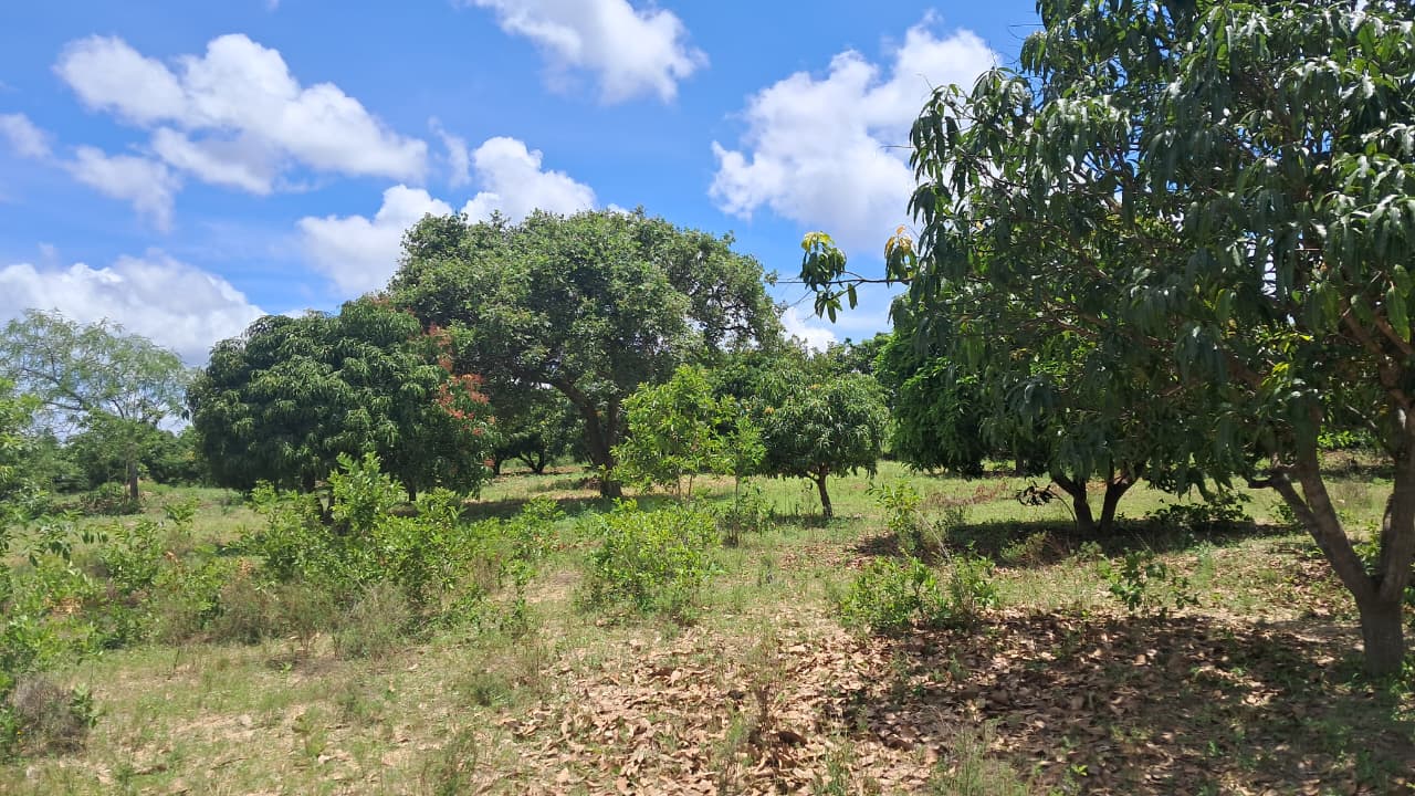 Best Verified Land Near Nairobi (2026) | Title Deed Ready