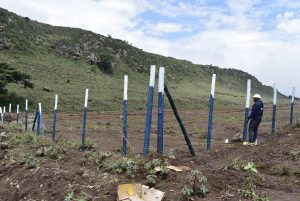 The Role of Land Surveyors in Property Transactions in Kenya: Nyota Njema