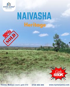 How to Buy 50x100 Plots in Kenya with Installments