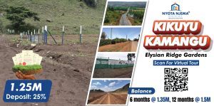 The Rise of Mixed-Use Developments in Kenya: A Nyota Njema Buyer's Guide